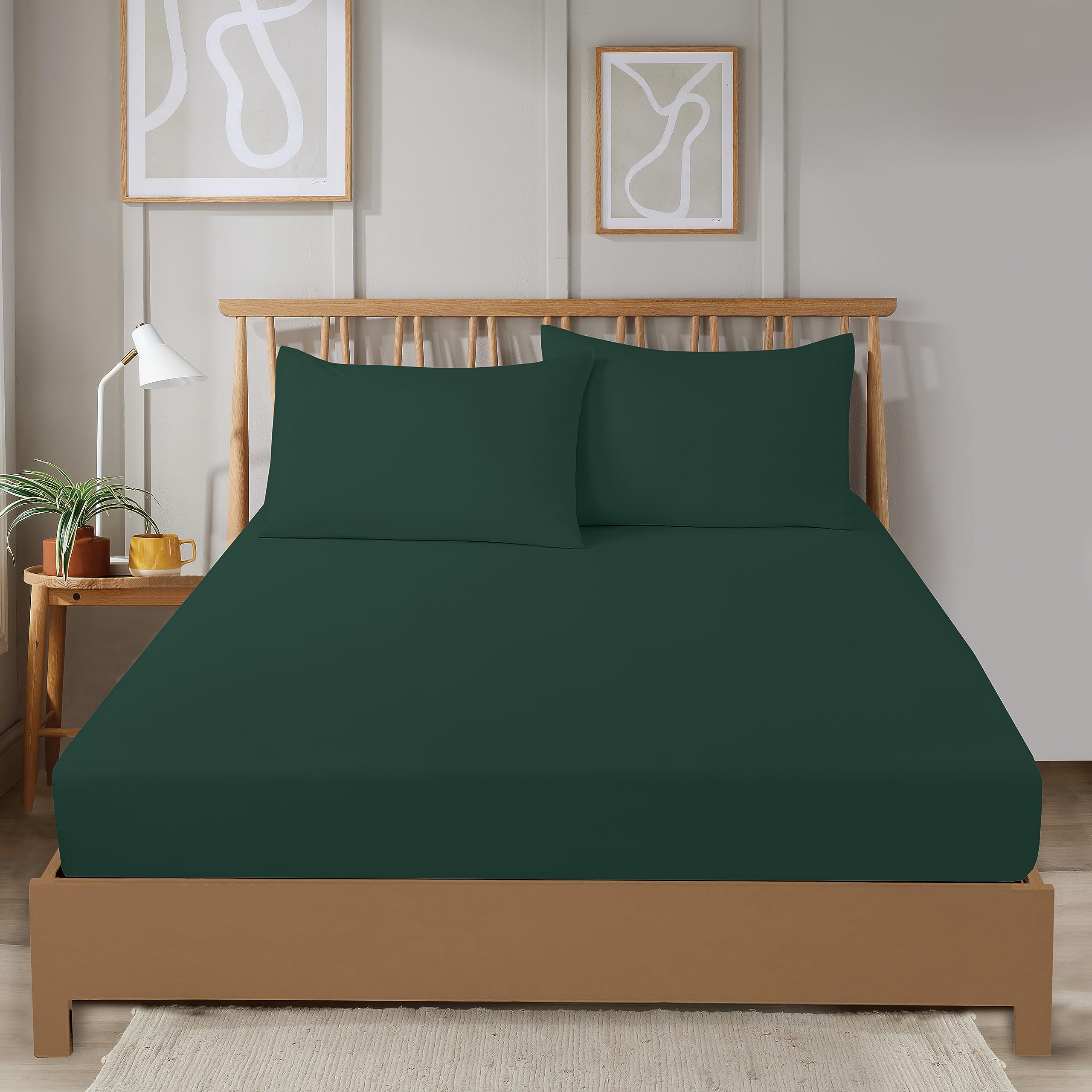 Olivia Rocco Super Soft Plain Dye Fitted Sheets Bedding BedSheets Durable Easy Care Thermal Warm Cosy Bed Linen Luxurious Comfort and Long Lasting Quality 30cm Deep, KING EMERALD GREEN