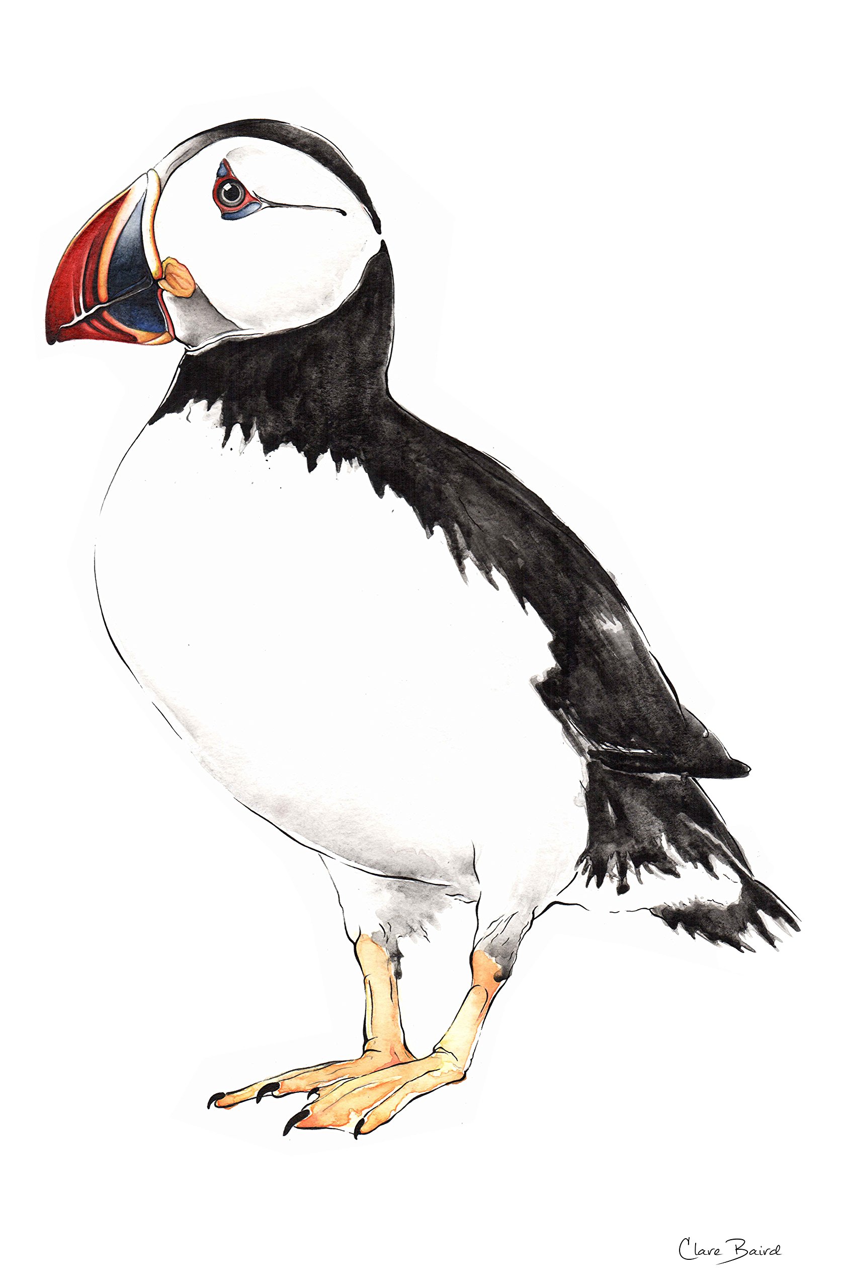 Clare Baird Creations Tea Towel in a Puffin Design