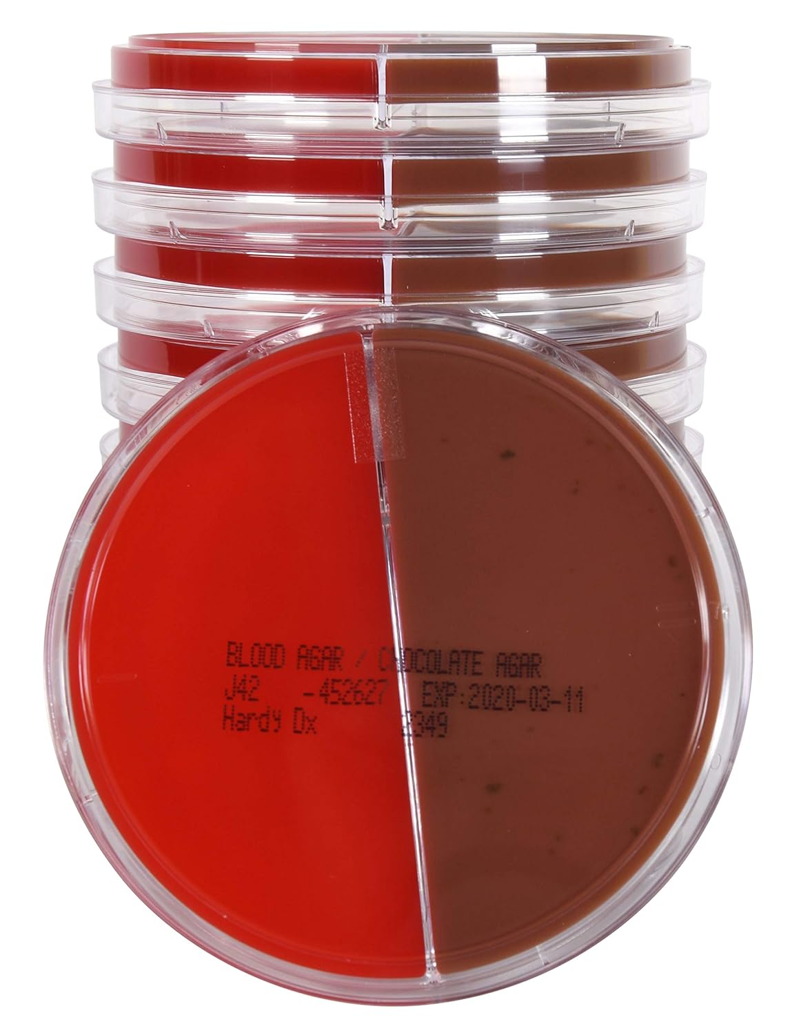 15x100mm Biplate Blood Agar by Hardy Diagnostics 5 Percent/Chocolate