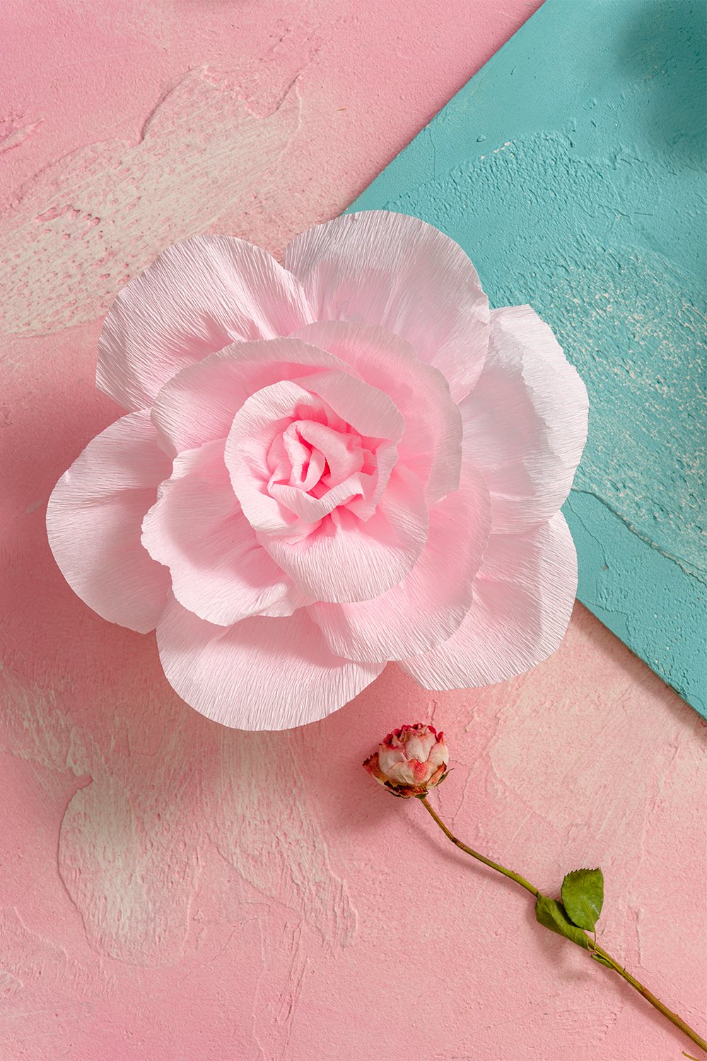 代引可 手作りクレープ紙花セット ピンクとホワイトフラワーのセット6 クリスマス用デコレーション ベビーシャワー 誕生日 結婚式 写真バックドロップ または イベント B077jhv43h 造花 Energywiserewards Pepco Com