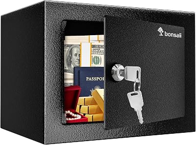 Bonsaii Safe Box with Key 6.6L Steel Privacy Lock 17x23x17 cm