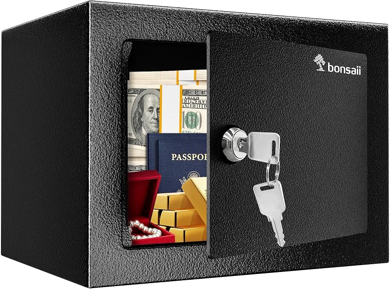 Bonsaii Safe Box with Key 6.6L Steel Privacy Lock 17x23x17 cm