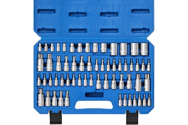 CASOMAN Master Torx Bit Socket and External Torx Socket Set, 60-Piece Set, S2 and Cr-V Steel,E4-E24, T6-T70,TT6-TT70,TP8-TP60