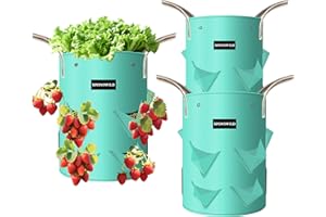 SPONDWILD 3 Pack Strawberry Grow Bags, Heavy Duty Reusable PE Pots with Breathable Window, Branch & Drainage Holes, Reinforce