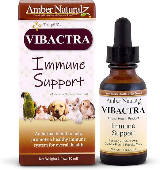 natural antibiotic for cats