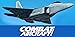 Combat Aircraft