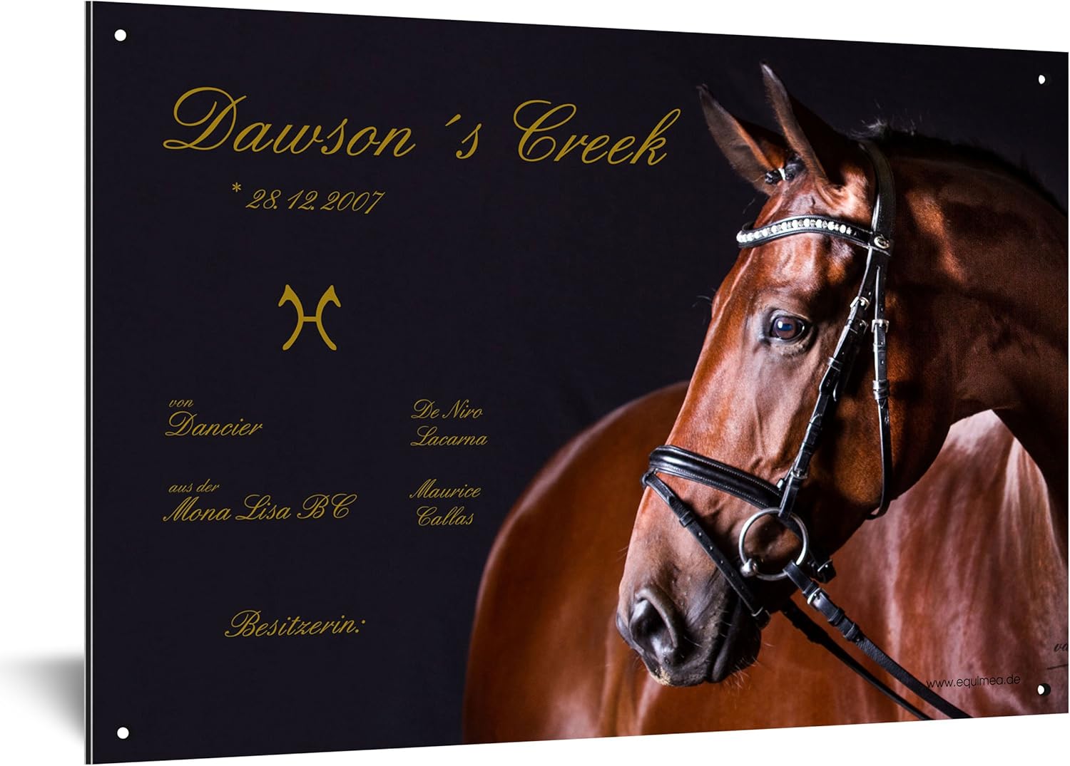 stalltafeln boxenschilder pferd boxenschild turschild weideschild percheron sport