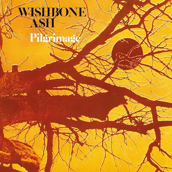 レア！！WISHBONE ASH国内紙ジャケCD12枚　特典帯、アーガスBOX付 レア！！WISHBONE ASH国内紙ジャケCD12枚 特典帯、アーガスBOX付 レア