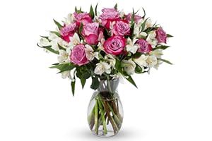 Benchmark Bouquets - Delightful Roses & Alstroemeria (Glass Vase Included) - Fresh Flowers for Delivery - Gift for Graduation, Birthday, Anniversary, Sympathy, Get Well, Congratulations