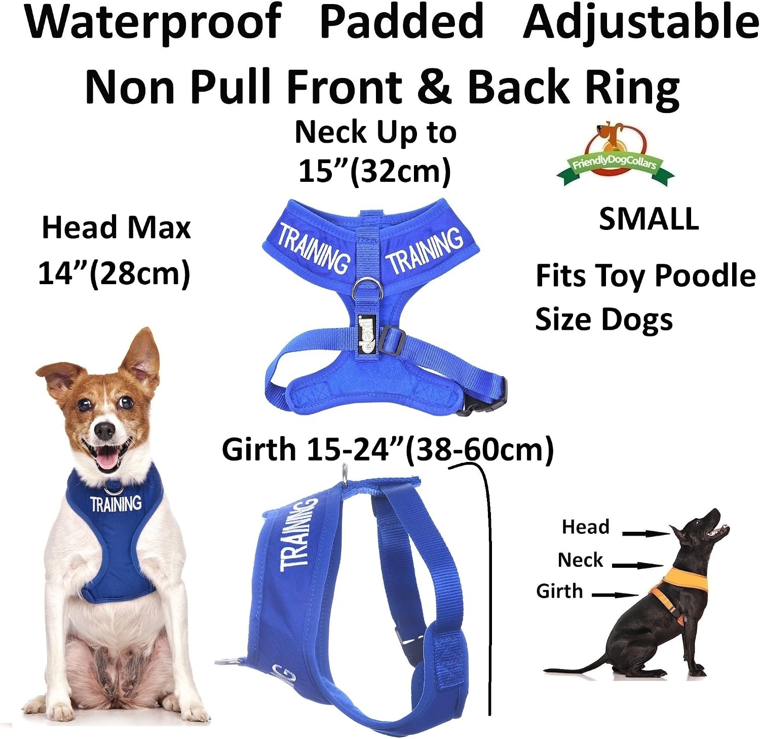 Dexil TRAINING (Dog In Training/Do Not Disturb) Blue Colour Coded Non-Pull Front and Back D Ring Padded and Waterproof Vest Dog Harness PREVENTS Accidents By Warning Others Of Your Dog In Advance (S) - Image 3
