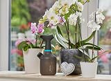 Gardena Pump Sprayer 1 l Indoor 360° Brass Nozzle Measuring Cap view 5