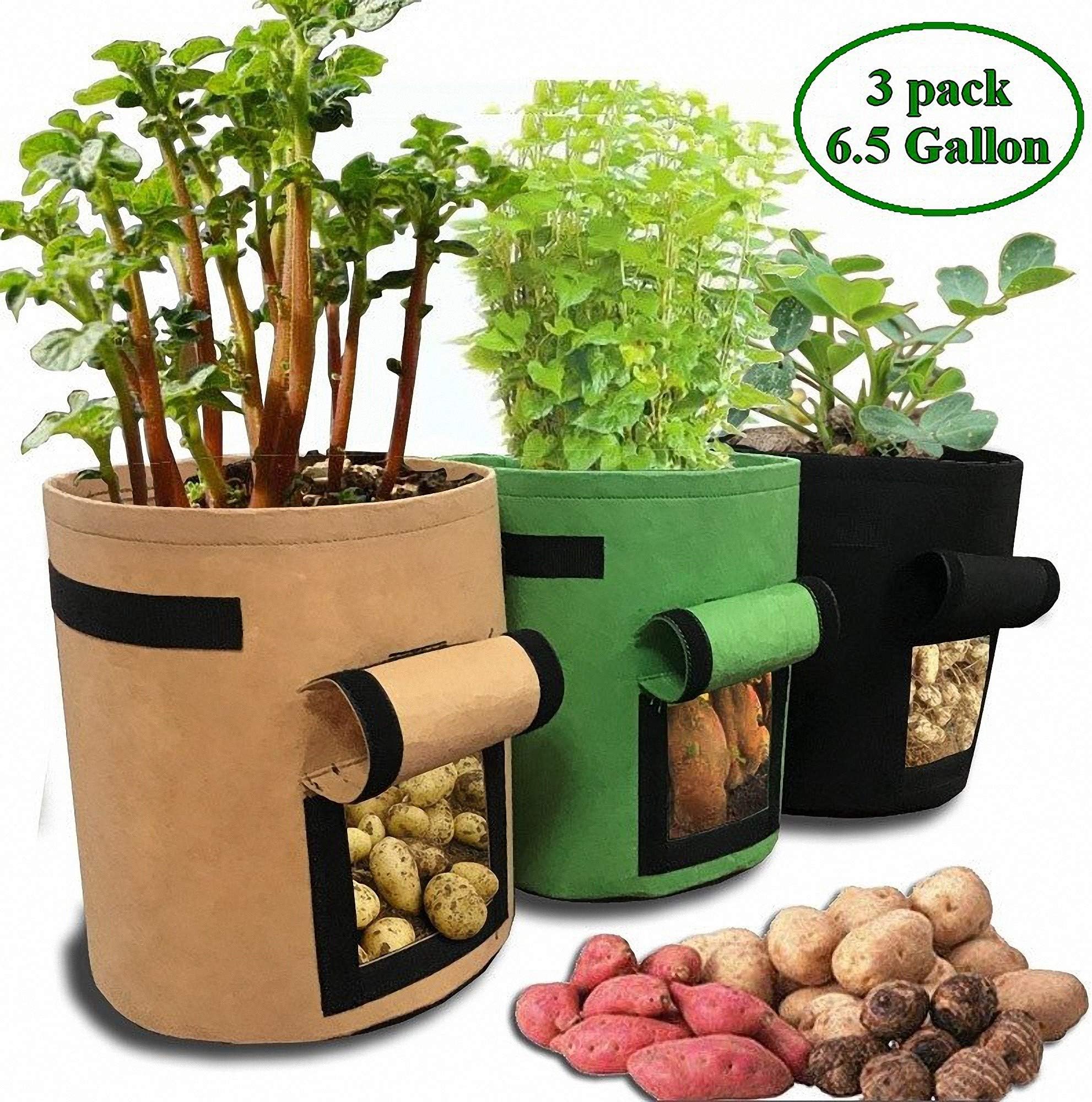 3 Pack 6.5 Gallon Plant Pot, Garden Plant Bag, Smart Potato Bags Velcro Window Vegetable Bags, Grow Bags for Potato Tomato and Other Vegetables, Fabric Pots (6.5 Gallon)