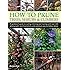 The Ultimate Practical Guide to Pruning and Training: How to Prune and ...