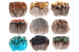 MWOOT 9 Styles Assorted Crafts Feathers, 180Pcs DIY Dreamcatcher Crafts Art Decor Feathers, DIY Earring Wings Carnival Party Mask Activities Project Accessories Small Feather - Mixed Green Blue Brown