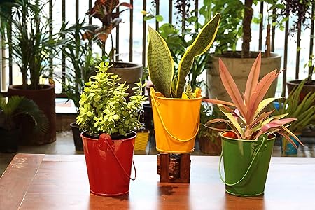 Metal Roots Colorful Bucket Hanging Plant Holder Tabletop Indoor/Outdoor Planter Home Room Hall Gardening Dcor -Pack of 3