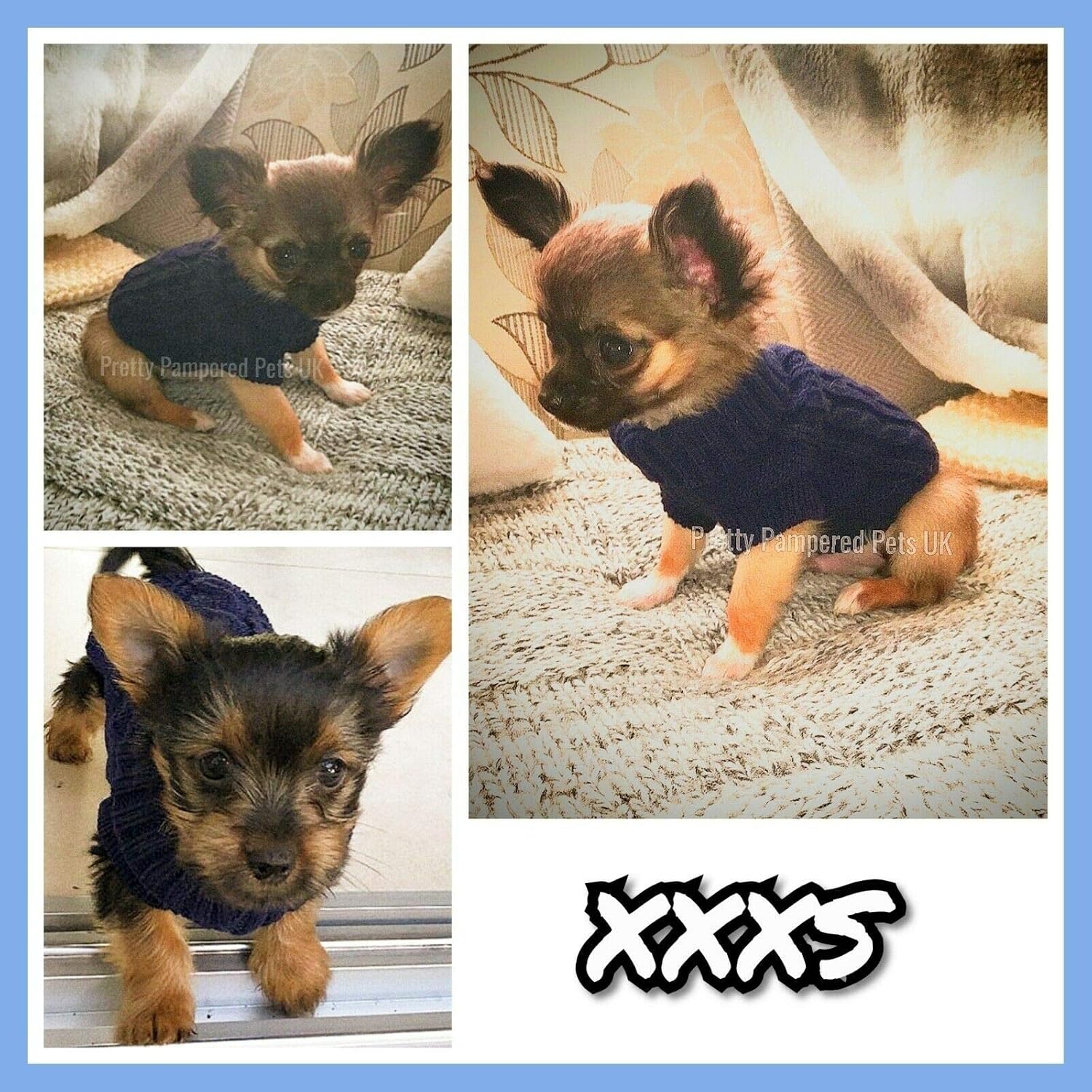 Chihuahua Clothes Puppy Dog Coat Knit Jumper Cosy Teacup Smaller Breeds (XXXS, Navy), 3XS (Pack of 1) - Image 3