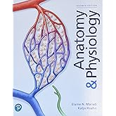 Anatomy & Physiology