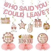 Going Away Party Decorations, Who Said You Could Leave Banner Good Luck | We Will Miss You Farewell Decorations Retirement Goodbye Decor Table Centerpieces Hanging Swirl Party Supplies Pink Rose Gold