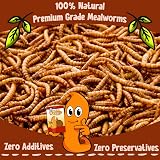 Chubby Mealworms 500g Dried High Protein Wild Bird Food Reptile Gecko Snack view 6