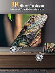 JSAUX USB C to DisplayPort 1.4 Cable [8K@60Hz