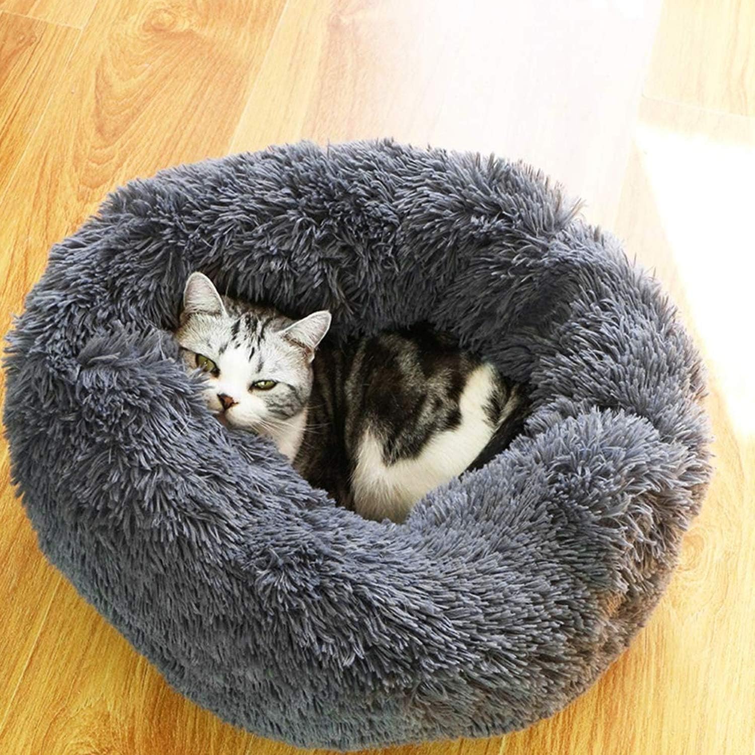 PETCUTE Dog Bed Cat Bed for Indoor Cats Washable Plush Donut Pet Bed Puppy Beds Soft Calming Cuddler Kennel Small Dog Beds - Image 4