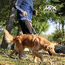 Jax Planet Dog Harness and Leash - Comfortable