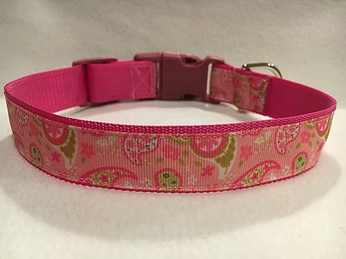 pink paisley dog collar