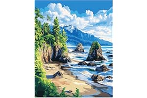 CAWPOM Olympic National Park Paint by Number for Adults Beginner, Washington, Ruby Beach Paint by Number on Canvas Without Frame, Acrylic DIY Oil Painting for Holiday Gift Home Decor(16x20inch)