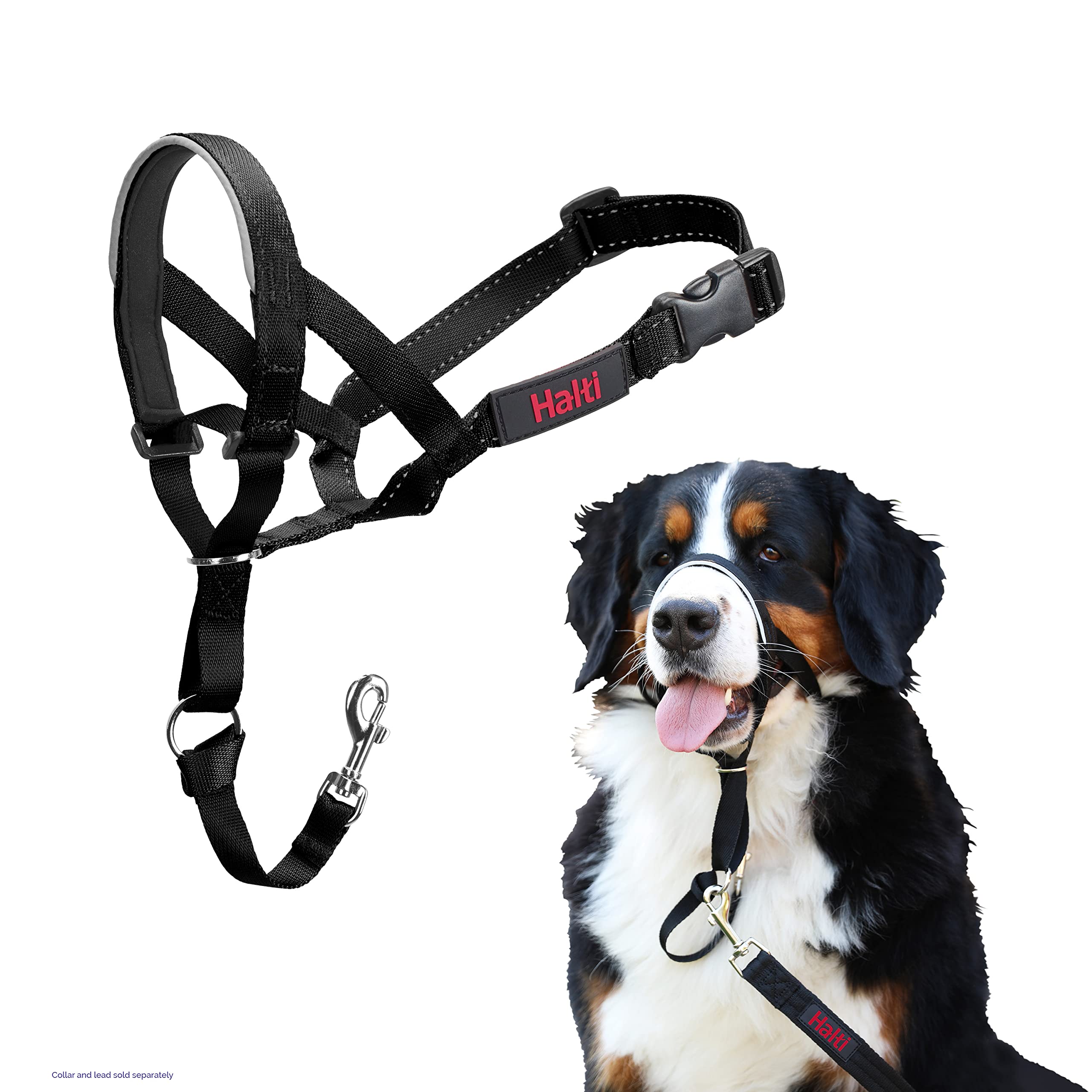 Halti Headcollar - Stop Your Dog Pulling on the Lead. Adjustable, Reflective and Lightweight, with Padded Nose Band. Dog Training Anti-Pull Collar for Large Dogs (Size 5, Black)