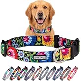 Lucky Love Dog Collar for Large Dogs Cute Adjustable &ndash; Blackbird, Large | Cute Dog Collars for Large Dogs | Adjustable Nylon Collar with Easy Click Buckle &amp; Weatherproof D-Ring