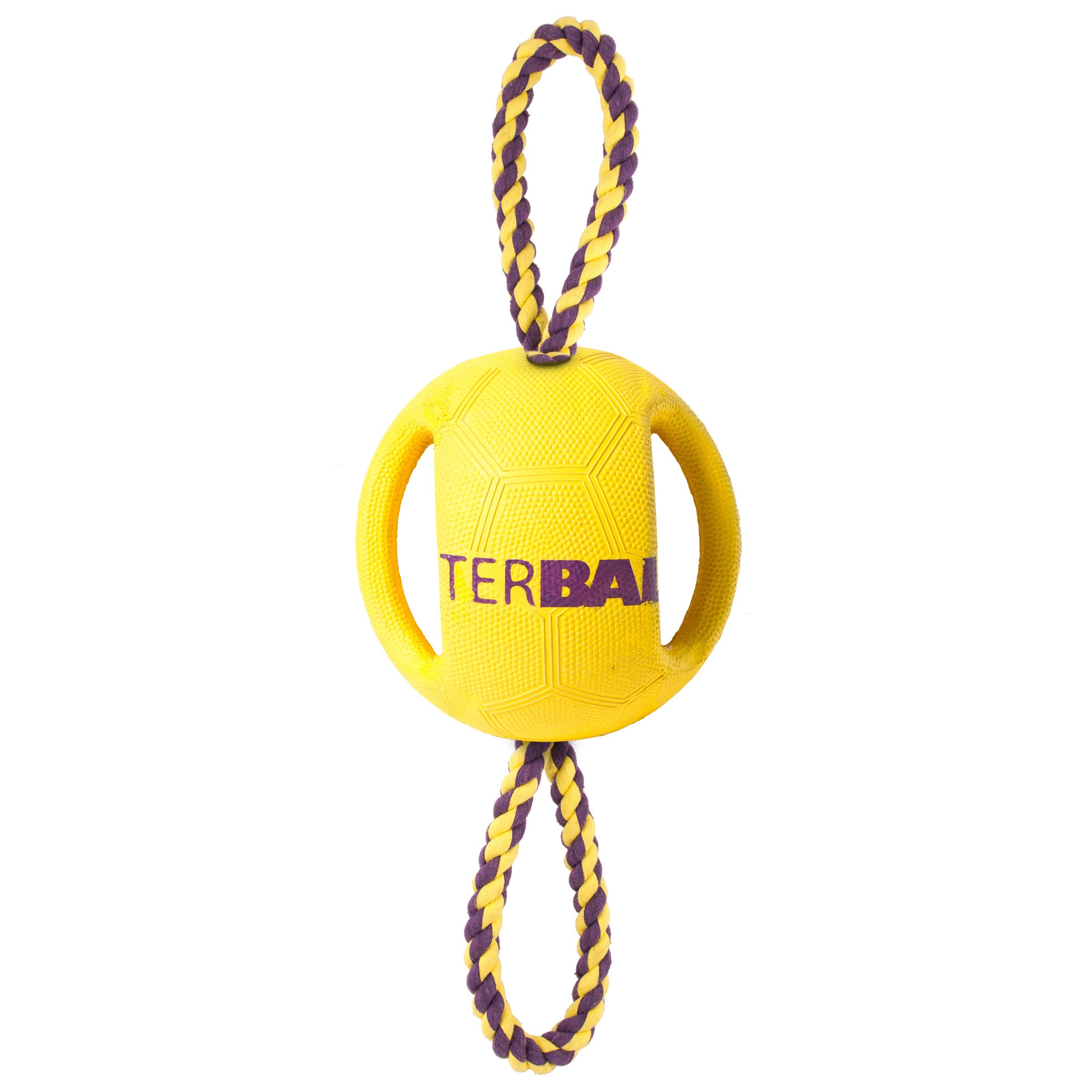 Pet Brands Inter Ball Double Loop Interactive Dog Toy