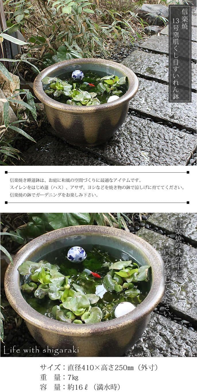 Amazon 信楽焼 13号窯肌クシ目鉢 睡蓮鉢 スイレン鉢 金魚鉢 水鉢 陶器 Su 0172 鉢