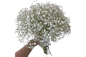 WANGBINYU 10 Stems Fresh White Gypsophila Flowers Can Be Stored In Water Or Dried Naturally Home hydroponic flower