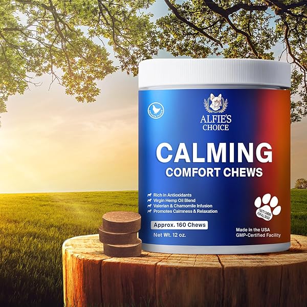 ALFIE’S CHOICE DOG CALMING CHEWS – DOG ANXIETY RELIEF STRESS & SEPARATION SUPPORT – PET HEMP CALMING CHEWS FOR DOGS ALL BREEDS – CALMING DOG TREATS SOFT CHEWS – 12 OZ, APPX 160 COUNT