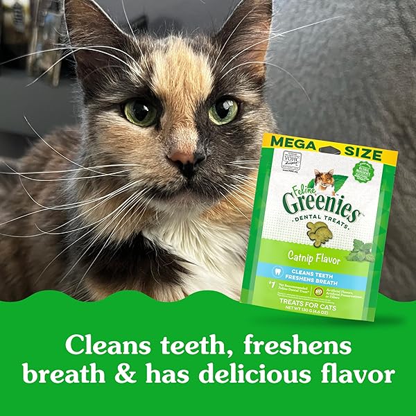 GREENIES CAT TREATS, FELINE VETERINARIAN-RECOMMENDED ADULT NATURAL DENTAL TREATS, CATNIP FLAVOR, 4.6 OZ. POUCH