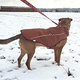 Mile High Life Dog Raincoat Adjustable Waterproof Reflective Stripe Lightweight view 9
