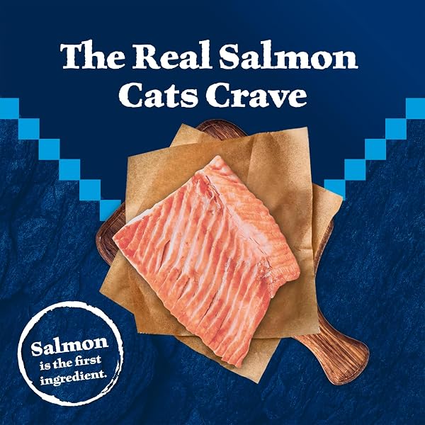 BLUE BUFFALO WILDERNESS GRAIN FREE NATURAL HIGH PROTEIN SALMON ADULT DRY CAT FOOD, 4 LBS.