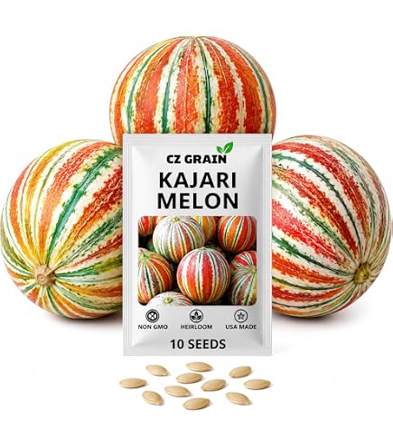 Amazon.com : Kajari Melon Seeds - Delicious and Nutritious, Sweet