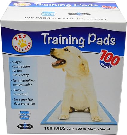 mickey mouse eared dog