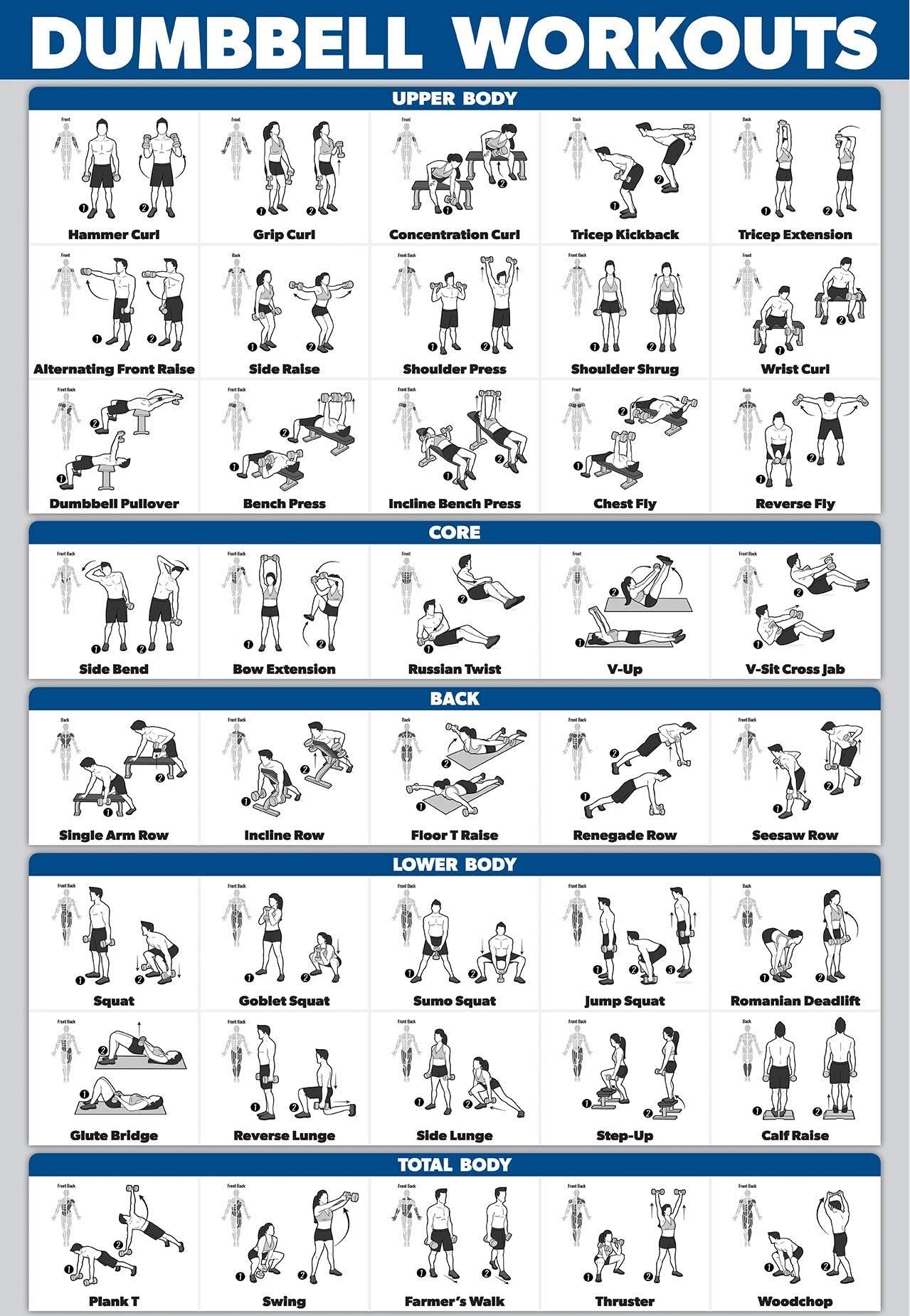 Palace Learning Dumbbell Workout Exercise Poster - Laminated - Free Weight Body Building Guide | Home Gym Chart | Double Sided - 18" x 27"