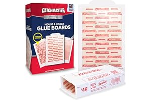 Catchmaster Mouse & Insect Glue Boards 60pk, Mouse Traps Indoor for Home, Adhesive Bug Catcher, Rat & Rodent Sticky Trap, Bulk Glue Traps Used by Pros, Pest Control for Home
