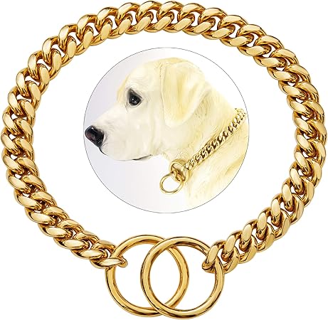 gold metal dog collar
