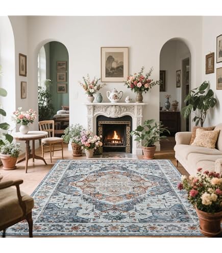 Amazon.com: Noahas Area Rugs for Living Room，6x9 Machine Washable