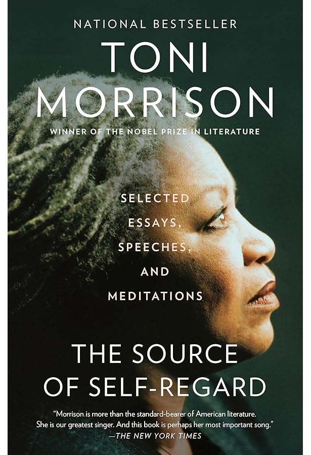 Amazon.com: Playing in the Dark : Whiteness and the Literary