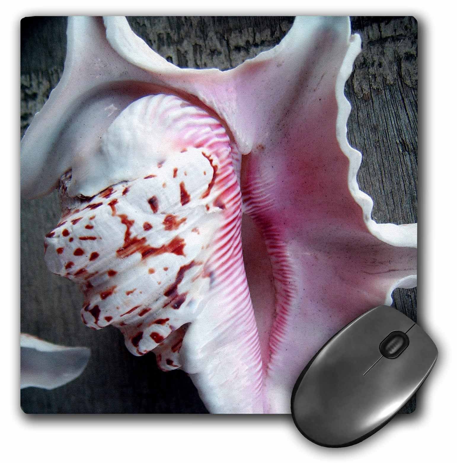 3dRose mp_36930_1 8 x 8-Inch Brown Pink Speckled Sea Shells Mouse Pad