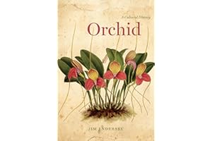 Orchid: A Cultural History