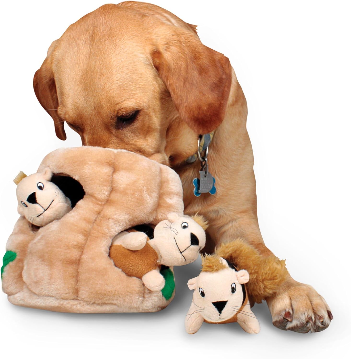 dog toy tree trunk with squirrels