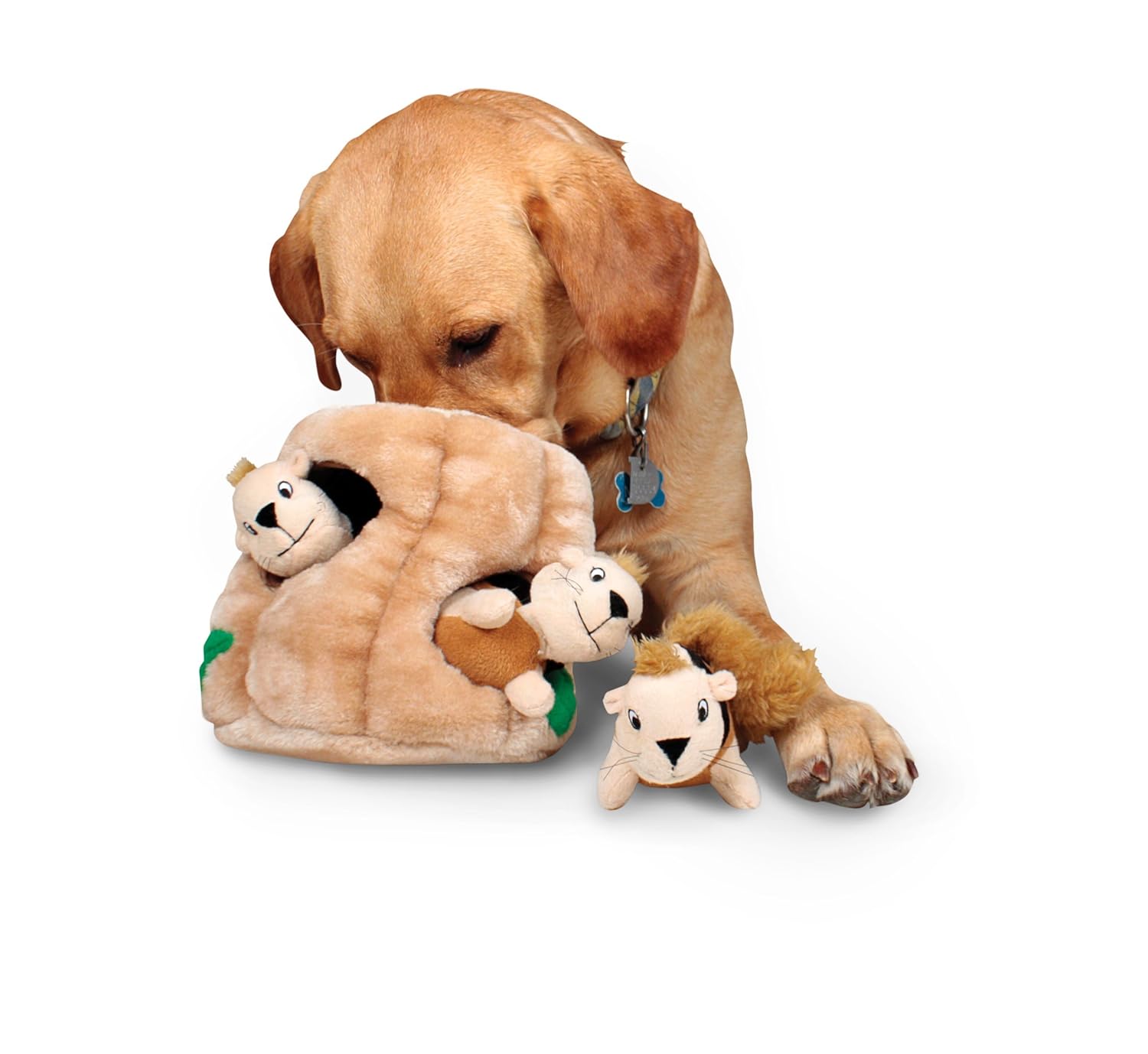 Mentally Stimulating Dog Toys Bullyfambamblog