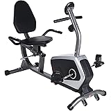 Sirius Fitness SF305 Recumbent Cycle Magnetic Exercise Bike for Home 9 LBS (4 KG) Flywheel Vélo ...