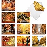 The Best Card Company - 10 Beautiful Note Cards Blank (4 x 5.12 Inch) - Fall and Autumn Season, Boxed Notecard Assortment - Fall Foliage M4971OCB-B1x10